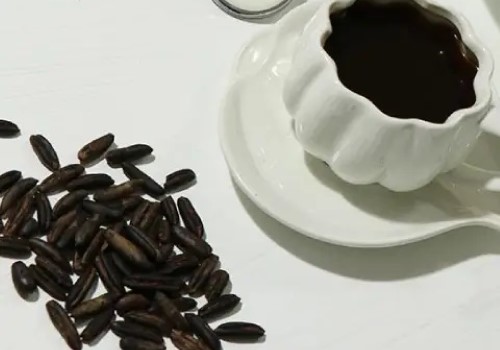 قیمت خرید قهوه هسته خرما با فروش عمده